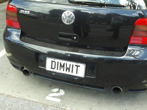 20101206 (5) - NZ license plate - dimwit