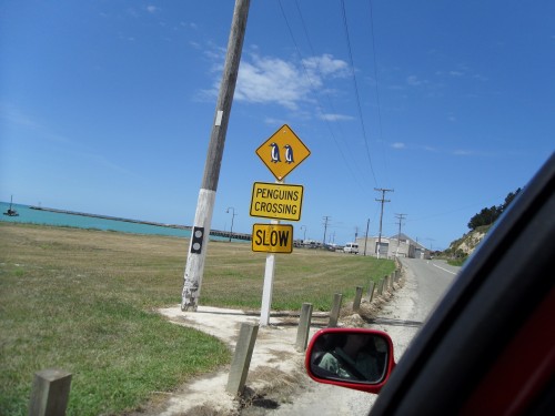 strange New Zealand signs