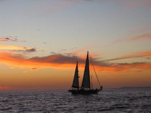 sailing into the sunset